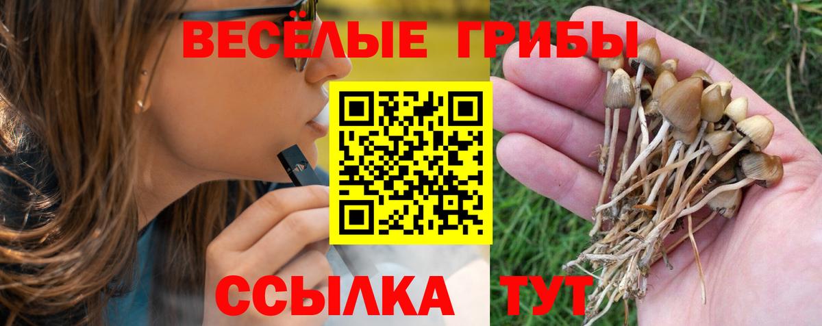 Псилоцибиновые грибы MAGIC MUSHROOMS  где купить наркоту  Вход с VPN  Еманжелинск  Псилоцибиновые грибы прущие грибы 
